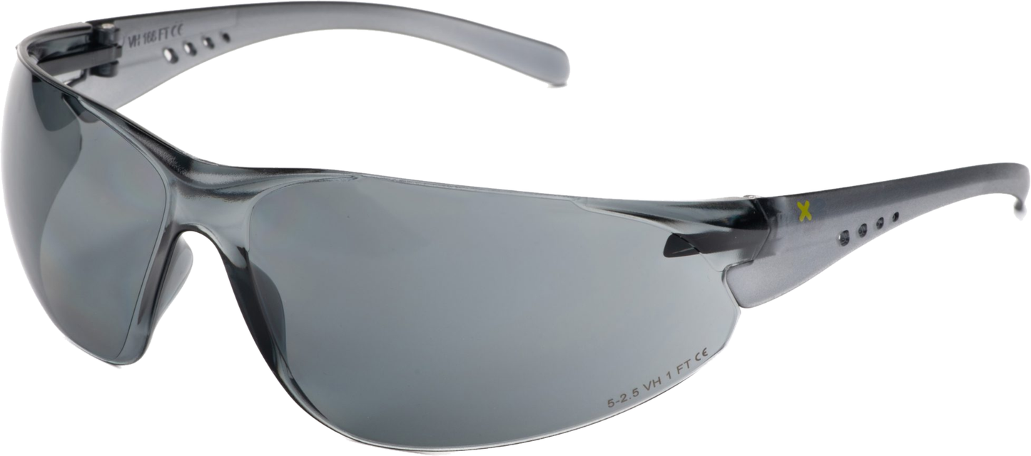 DPL Group X2 Xcel Smoke Lens Anti-Scratch