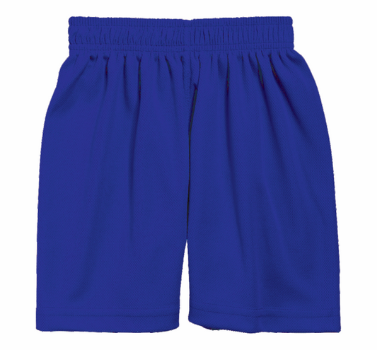 PE Shorts - Junior Sizes